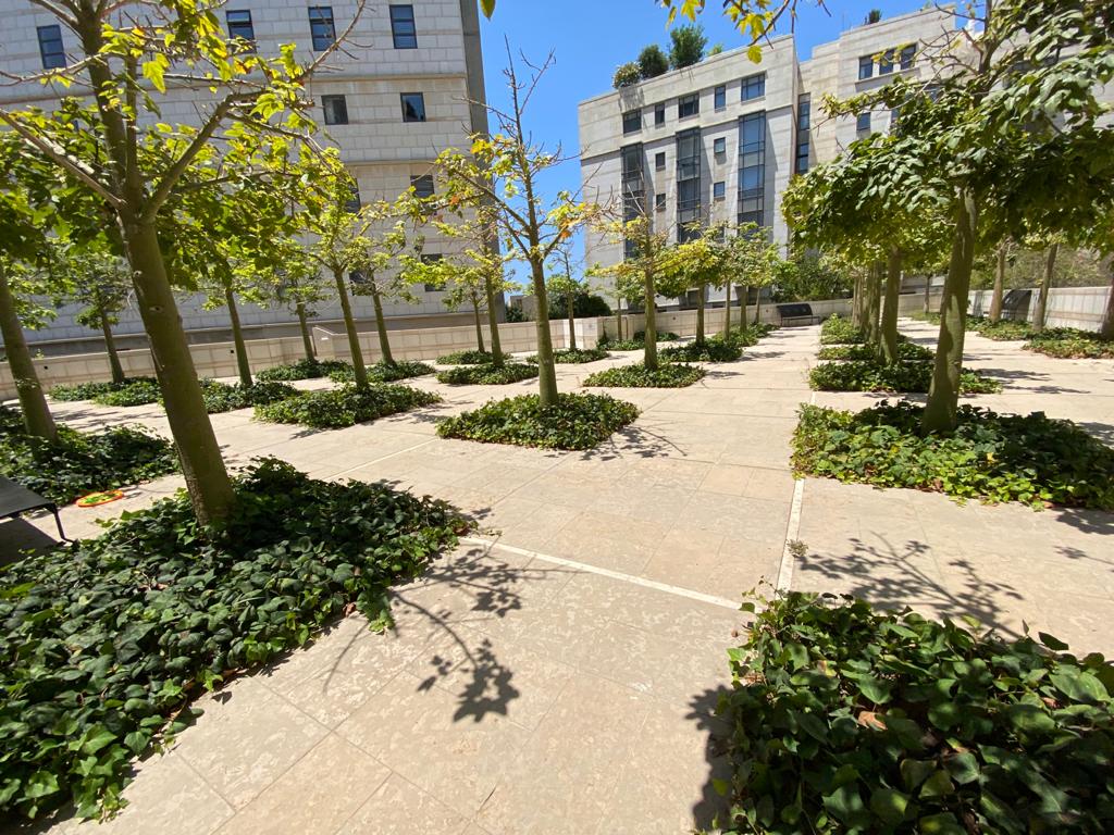 4.5 חדרים ברובע לב העיר